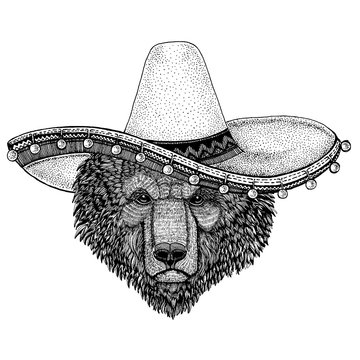 Bear wearing traditional mexican hat. Classic headdress, fiesta, party.