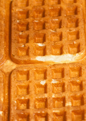 Top view, close up of two, freshly baked, homemade, waffles  on an oval, white plate