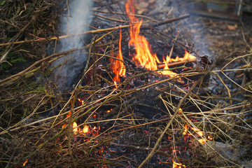 Burning dry grass with smoke