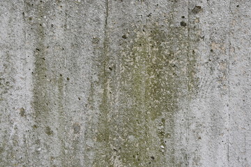 Concrete wall with moss