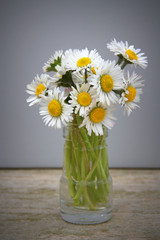 bouquet de pâquerettes printanières isolé