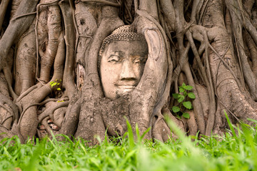 Buddha head in tree roots | Ayutthaya, Thailand