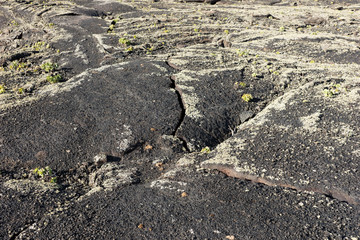 Surface of frozen lava. Frozen lava background