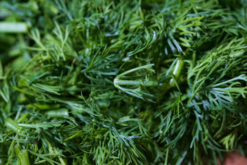 Chopped dill with water drops. Macro. 