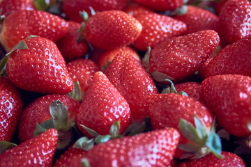 strawberries good for this season