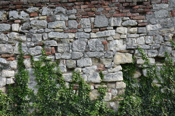 Old roman wall