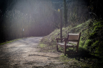 Asiento en el camino