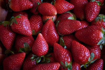 strawberries good for this season