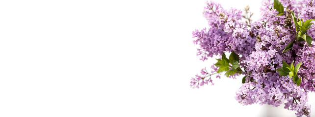 Bouquet of spring purple lilac flowers