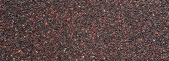 Gluten free raw organic black quinoa, close-up.