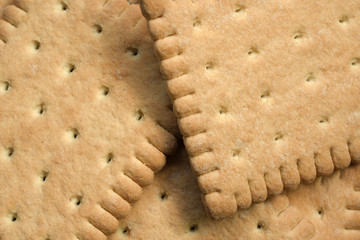 Several cracker cookies