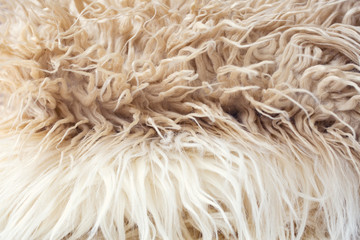 White soft wool texture background, cotton wool, light natural sheep wool, close-up texture of white fluffy fur, wool with beige tone, fur with a delicate tint. Shallow DOW