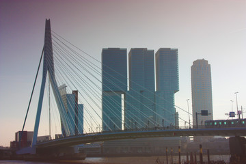 a journey to discover the modern and futuristic architectural city of Rotterdam, between bridges and skyscrapers
