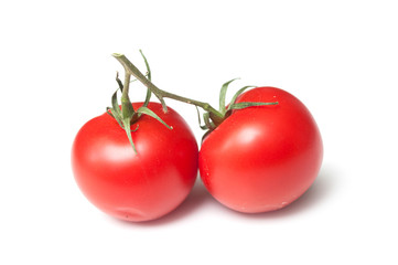 closeup of two fresh tomatoes on white background