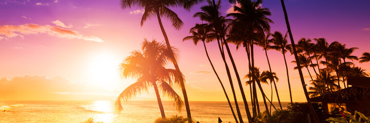 Fototapeta Palm tree silhouette on a background of tropical sunset obraz