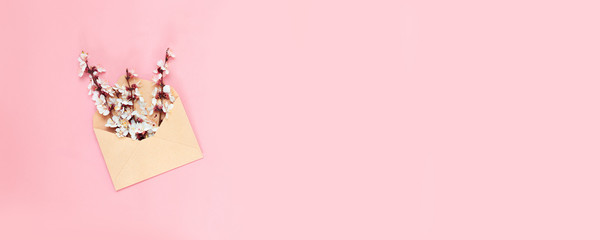 White blossoming branches in envelope on pink background. Top view, greeting card.