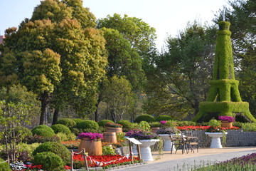 Beautiful composition of green vegetation in the park. Summer landscape.