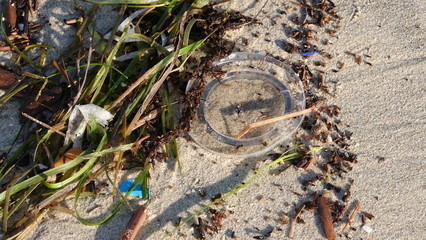 Plastic trash washed up on beach