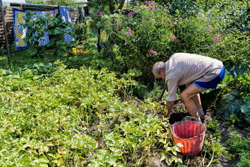 Rüstiger Rentner bei der Gartenarbeit