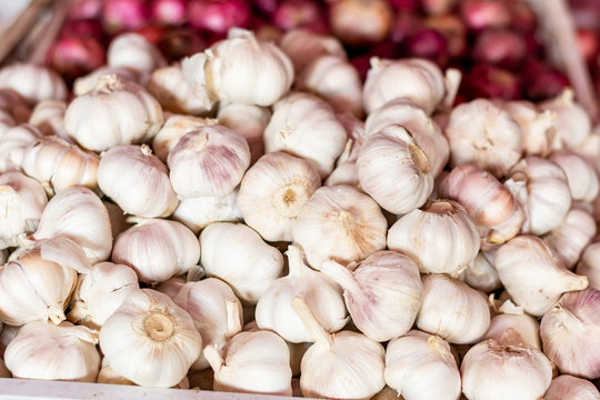 pile of garlic view from the top. Vitamin healthy food spice image. 
