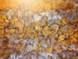 Drohnenaufnahme Halle/Saale