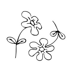 flowers vector sketch