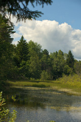 Obraz premium Landscape with forest lake