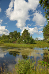 Naklejka premium Landscape with forest lake