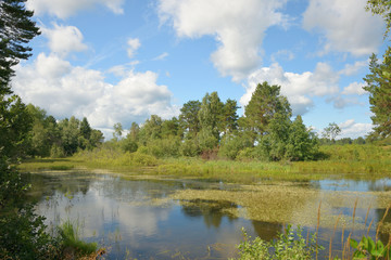Fototapeta na wymiar Landscape with forest lake