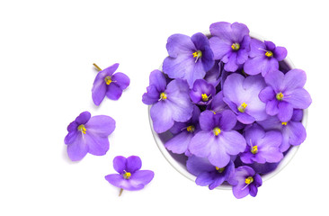 Fototapeta na wymiar Violets in white bowl isolated on white background.