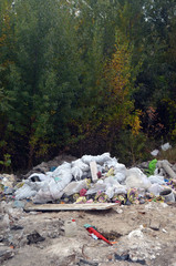 Ecology of Ukraine. Nature near Ukrainian capital.Environmental contamination. Illegal junk dump. Near Kiev, Ukraine