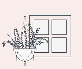 houseplant in macrame hanger with window