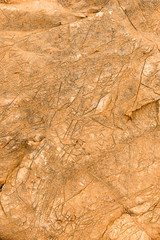 Graphic texture stone
