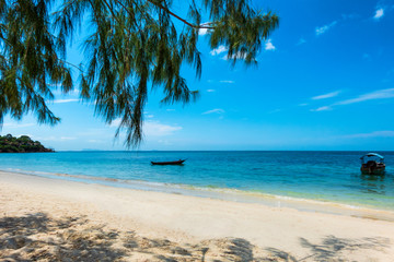Tropical sea, palms and boat on white sand beach