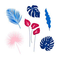 Obraz premium Tropical flowers and leaves