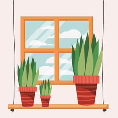 houseplants in shelf with window scene