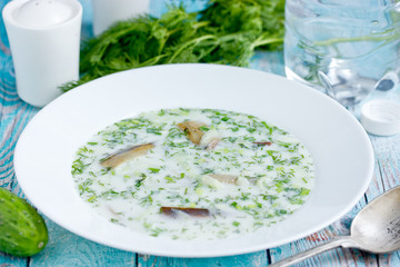 Cold refreshing soup okroshka made from mineral soda water, kefir, fresh cucumber, dill, onion, garlic and smoked fish
