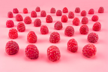 Pattern made from fresh raspberries, view from the skew, isolated on a light pink background.