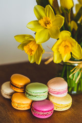 Fototapeta na wymiar Yellow Daffodils and Pink Green Orange and Magenta Macarons