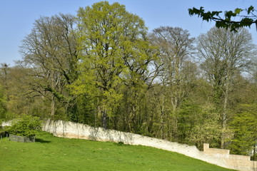 Partie restante du mur d'enceinte d'origine du domaine de l'abbaye du Rouge-Cloître ,entourant une zone boisée à Auderghem