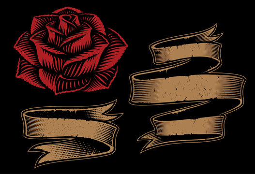 Vector illustration of ribbons and rose