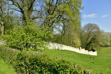 Partie restante du mur d'enceinte d'origine du domaine de l'abbaye du Rouge-Cloître ,entourant une zone boisée à Auderghem