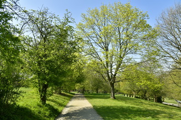Chemin en gravier clair traversant le parc de l'abbaye du Rouge-Cloître à Auderghem