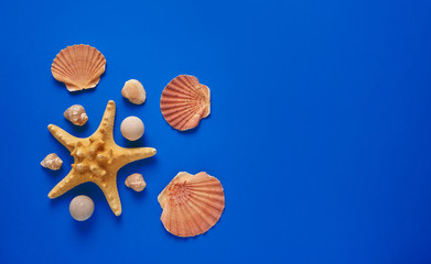 Summer holidays. Starfish, seashells on a blue background. Summer concept. Flat lay, top view, copy space