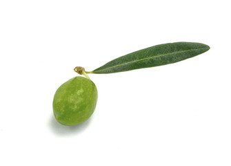 Olive branch with green olives, isolated on white background