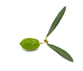 Olive branch with green olives, isolated on white background