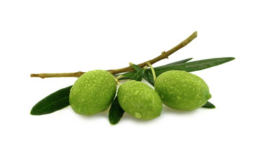 Olive branch with green olives, isolated on white background