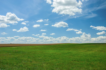 Big green field and white clouds on blue sky