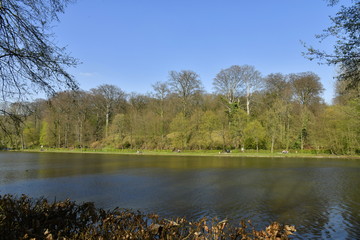 Fototapeta na wymiar L'étang du Moulin et ses berges aménagées en lieu de détente longeant les hêtres de la forêt de Soignes au domaine de l'abbaye du Rouge-Cloître à Auderghem