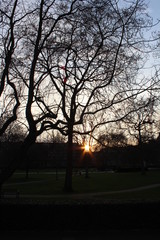 sunset in the park